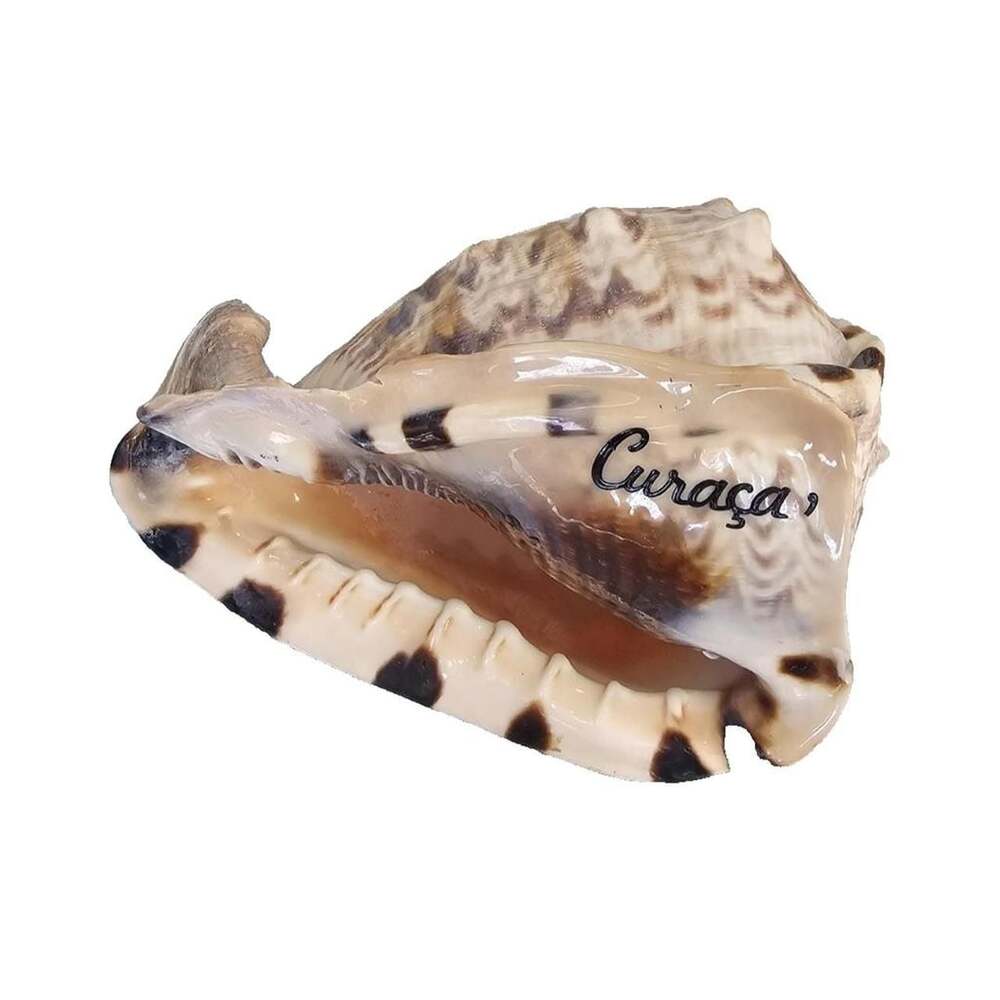 Vintage Hand-Painted Curaçao Queen Helmet Seashell Souvenir